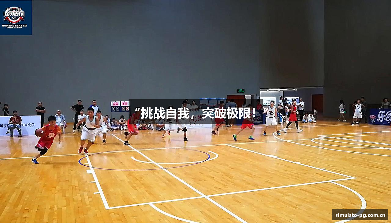 PG模拟器